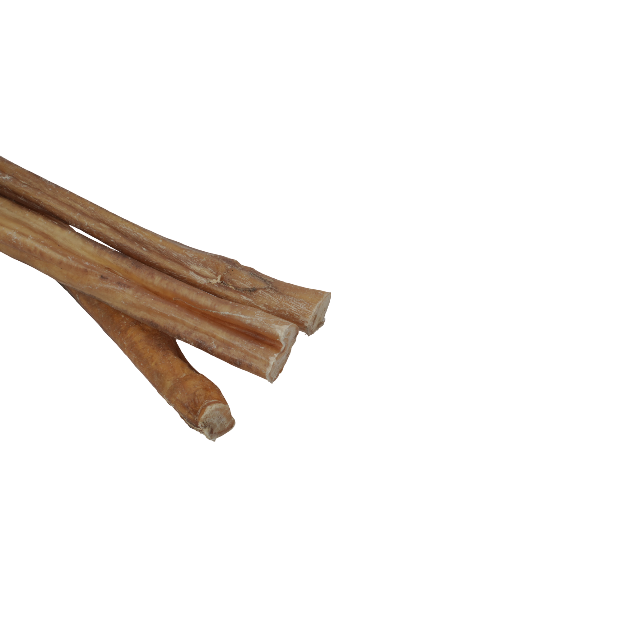 Pizzle Sticks 12" - 5 Pcs