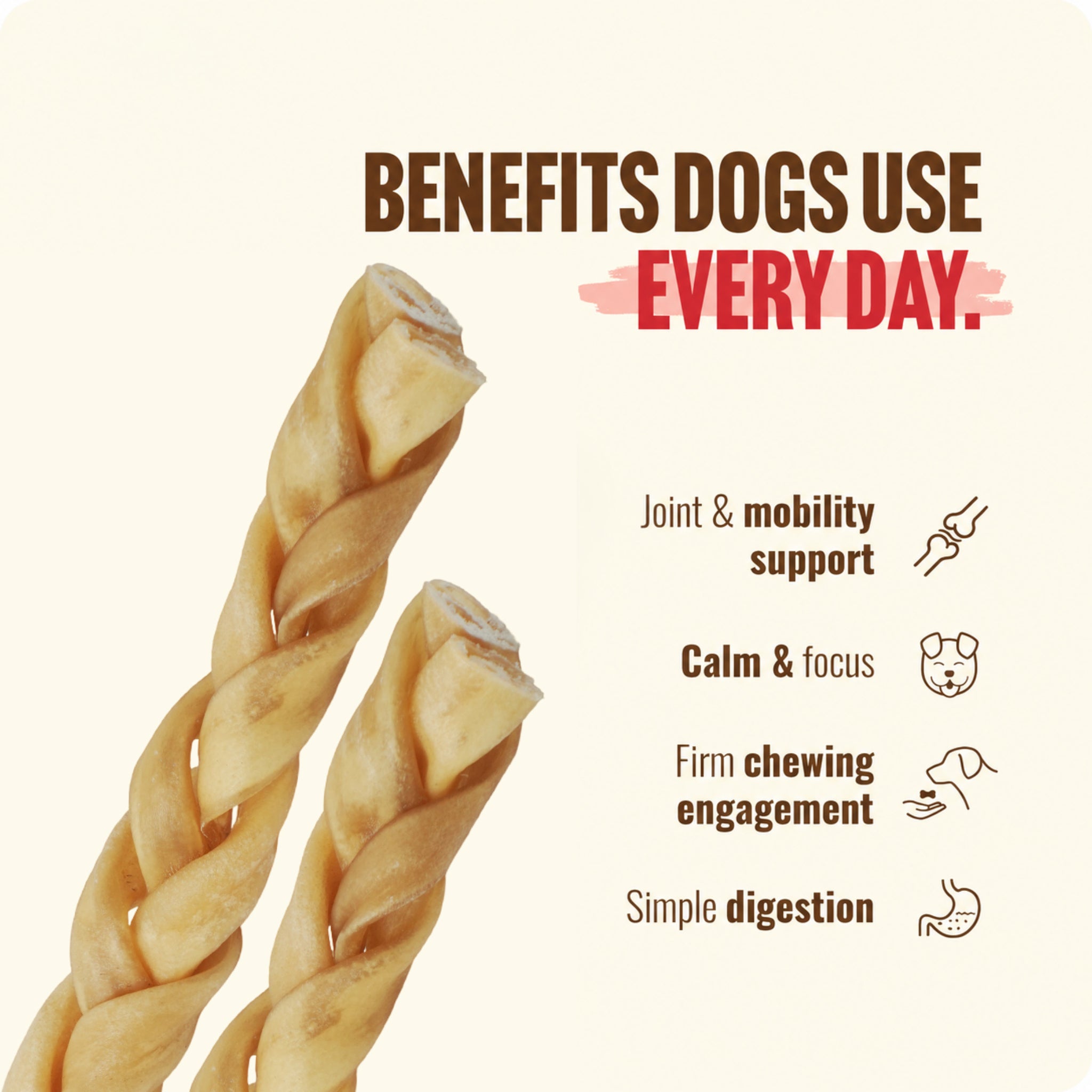 Collagen Braided Sticks 12" - 4 Pcs