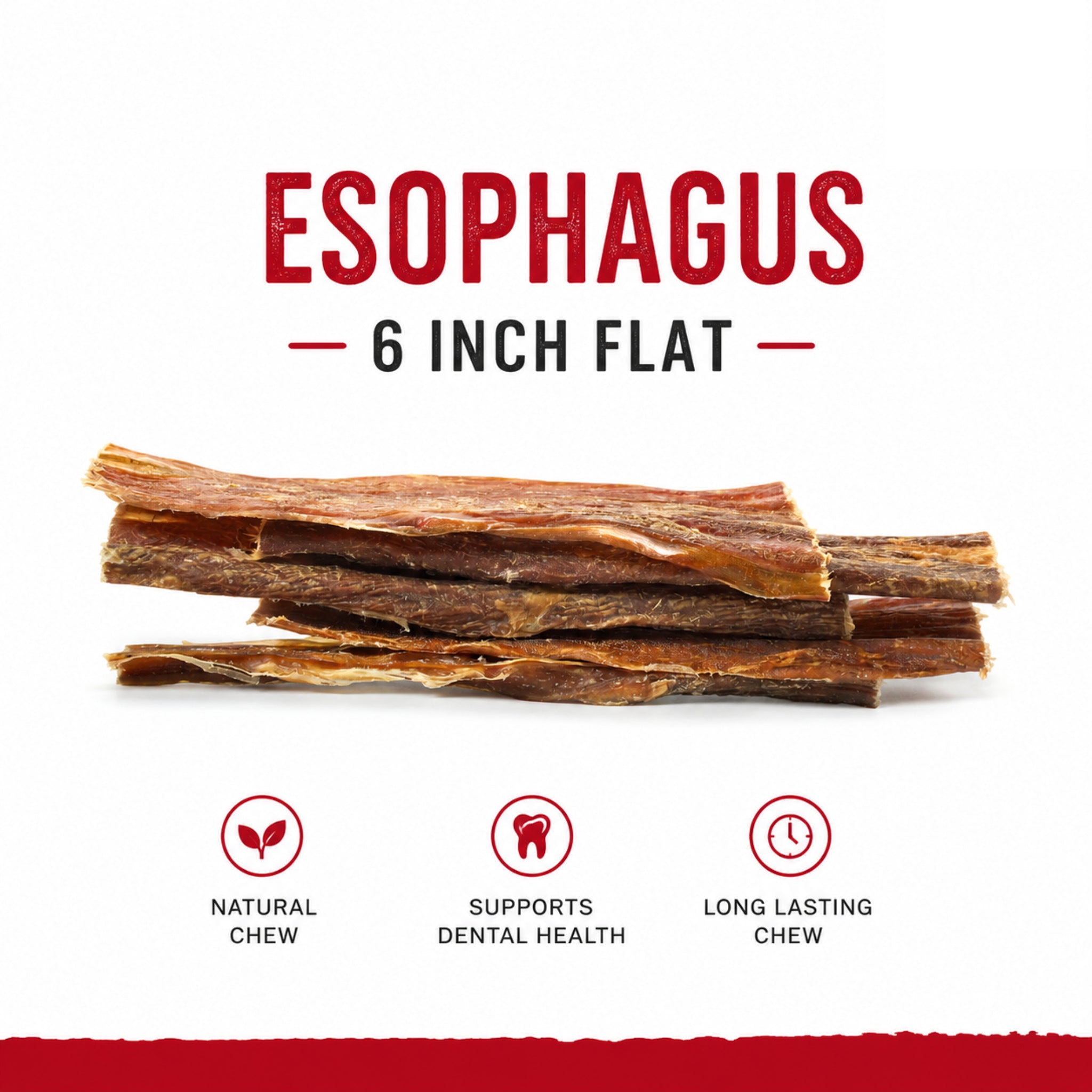 Esophagus Flat 6" - 10 Pcs