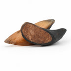Filled Hooves - 2 Pcs