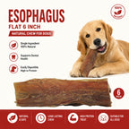 Esophagus Flat 6" - 10 Pcs