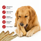 Collagen Sticks 12" - 6 Pcs