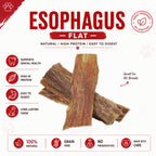 Esophagus Flat 6" - 10 Pcs