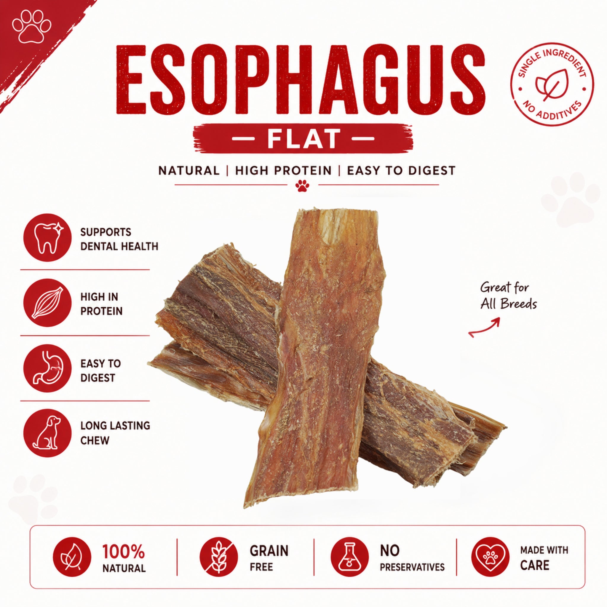 Esophagus Flat 6" - 10 Pcs