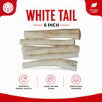 White Tails 6" - 6 Pcs