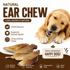 Buffalo Ears - 5 Pcs