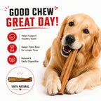 Pizzle Sticks 12" - 5 Pcs