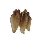 Buffalo Ears - 5 Pcs