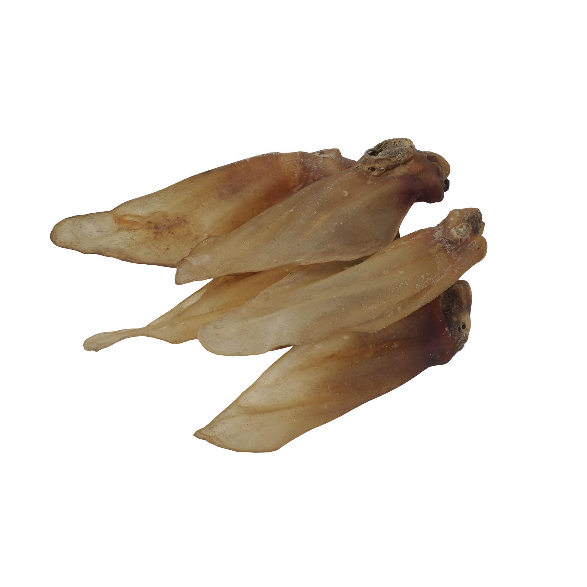 Buffalo Ears - 5 Pcs