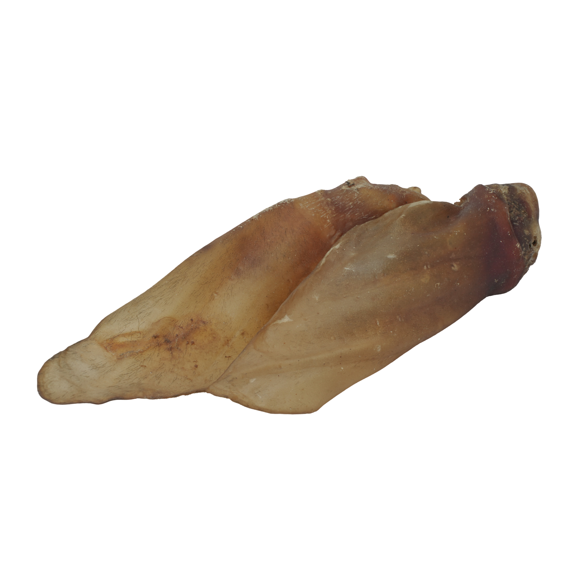 Buffalo Ears - 5 Pcs