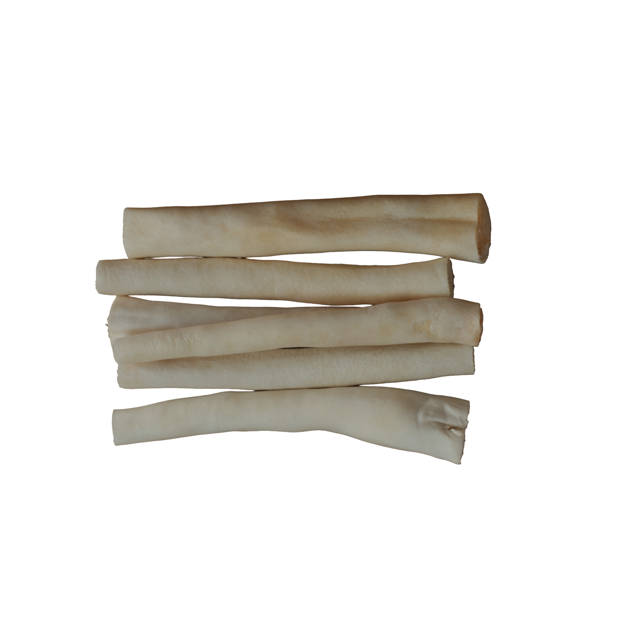 White Tails 6" - 6 Pcs