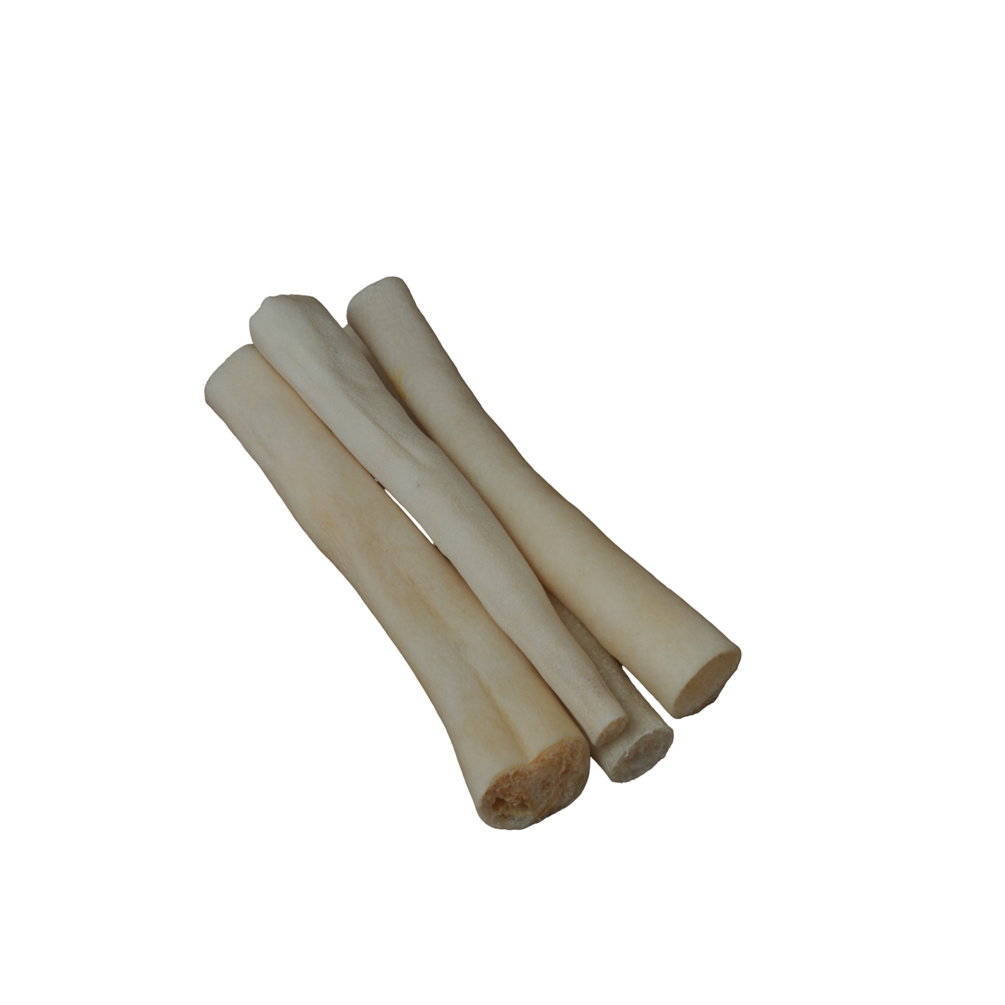 White Tails 6" - 6 Pcs