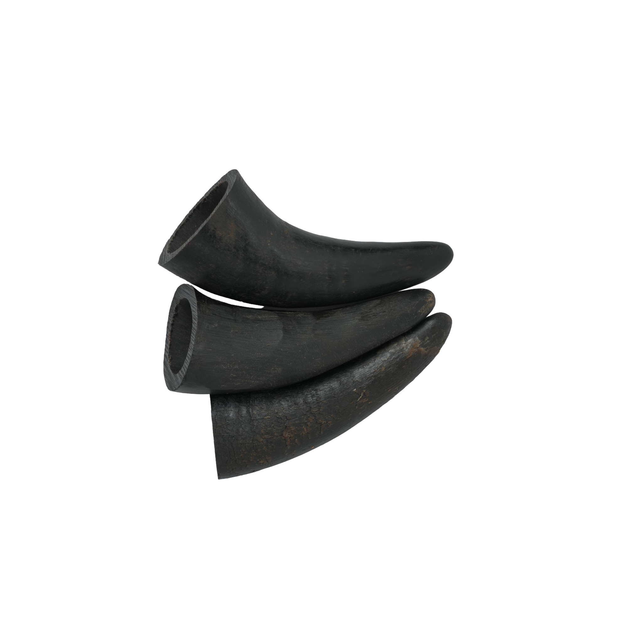 Horns 4" - 3 Pcs