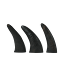 Horns 4" - 3 Pcs