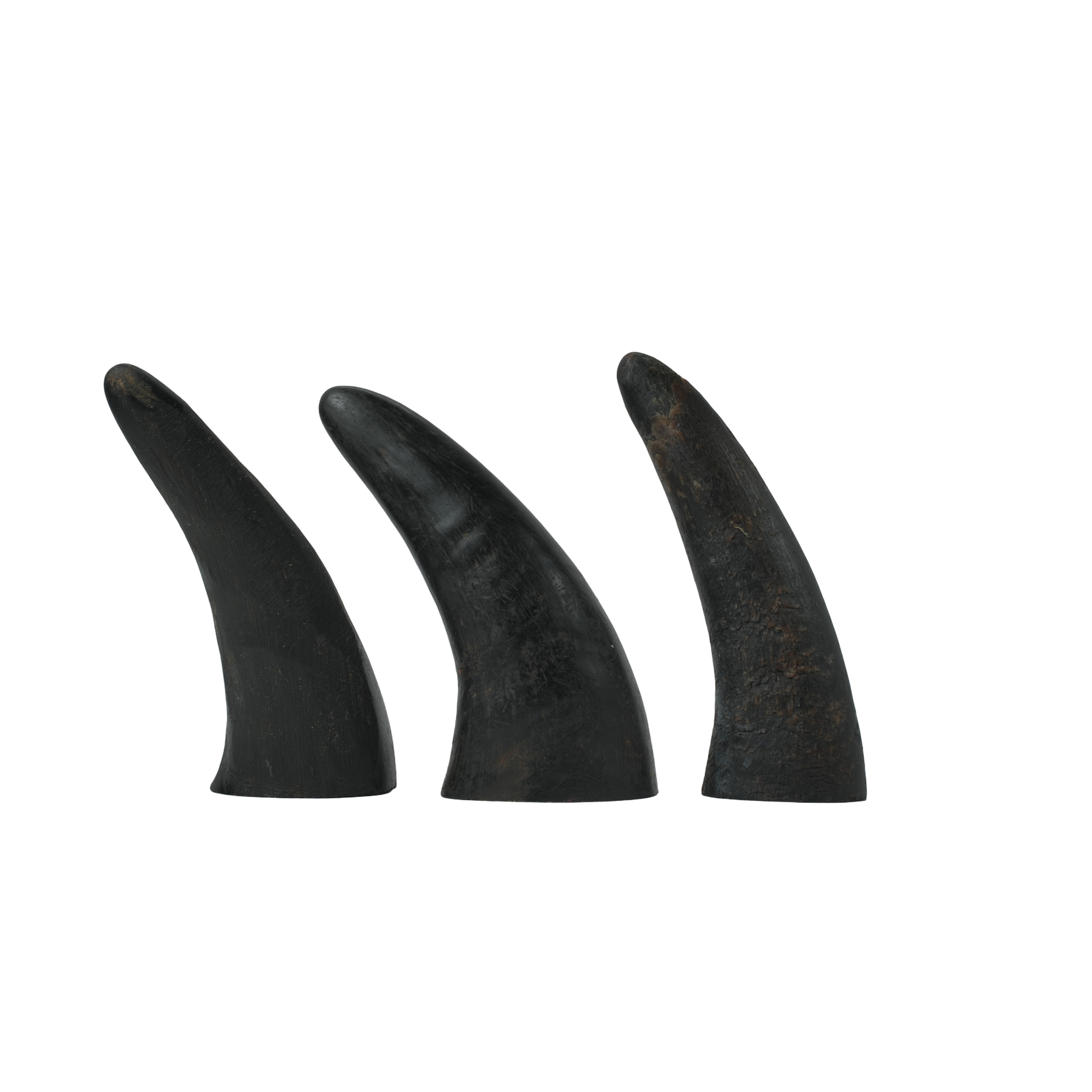 Horns 4" - 3 Pcs