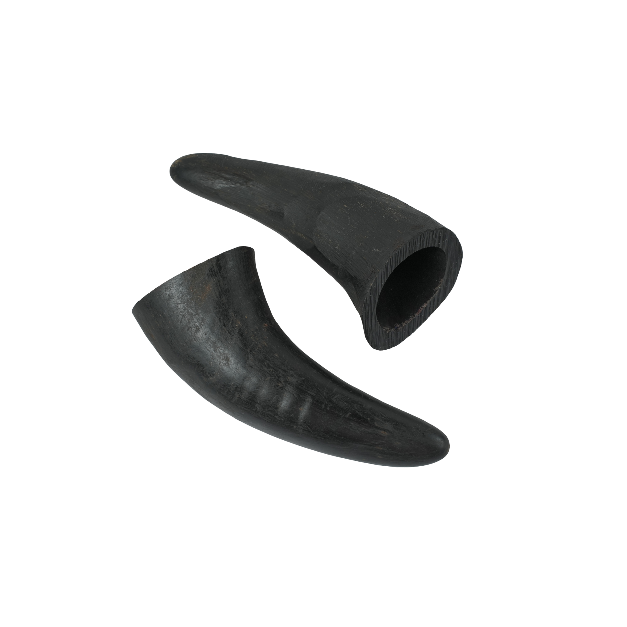 Horns 4" - 3 Pcs